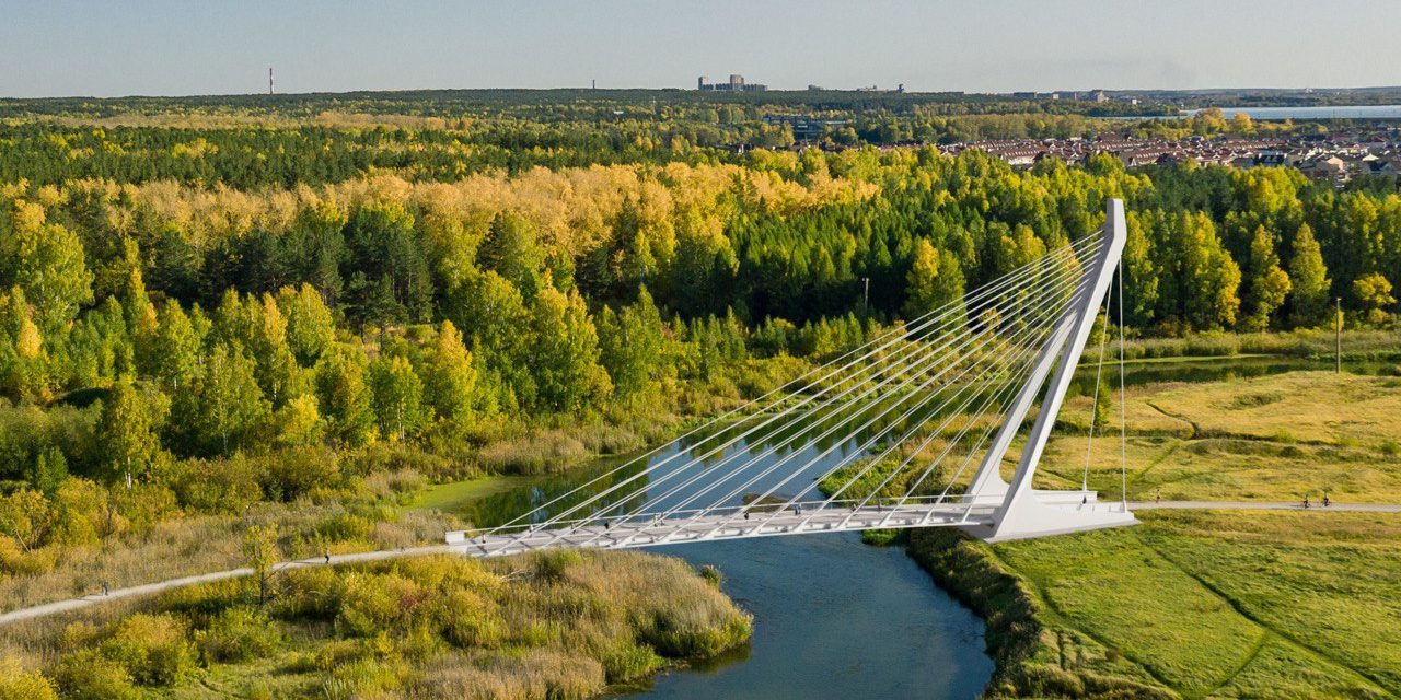 photo_5199685432756000968_y